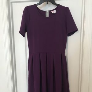 EUC Amelia dress